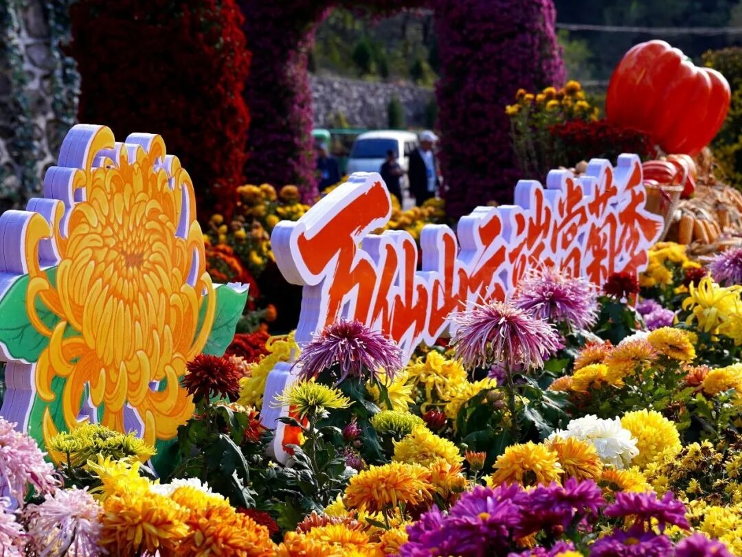 太行拾秋计划|多重优惠解锁太行秋光 太行拾秋计划|多重优惠解锁太行秋光