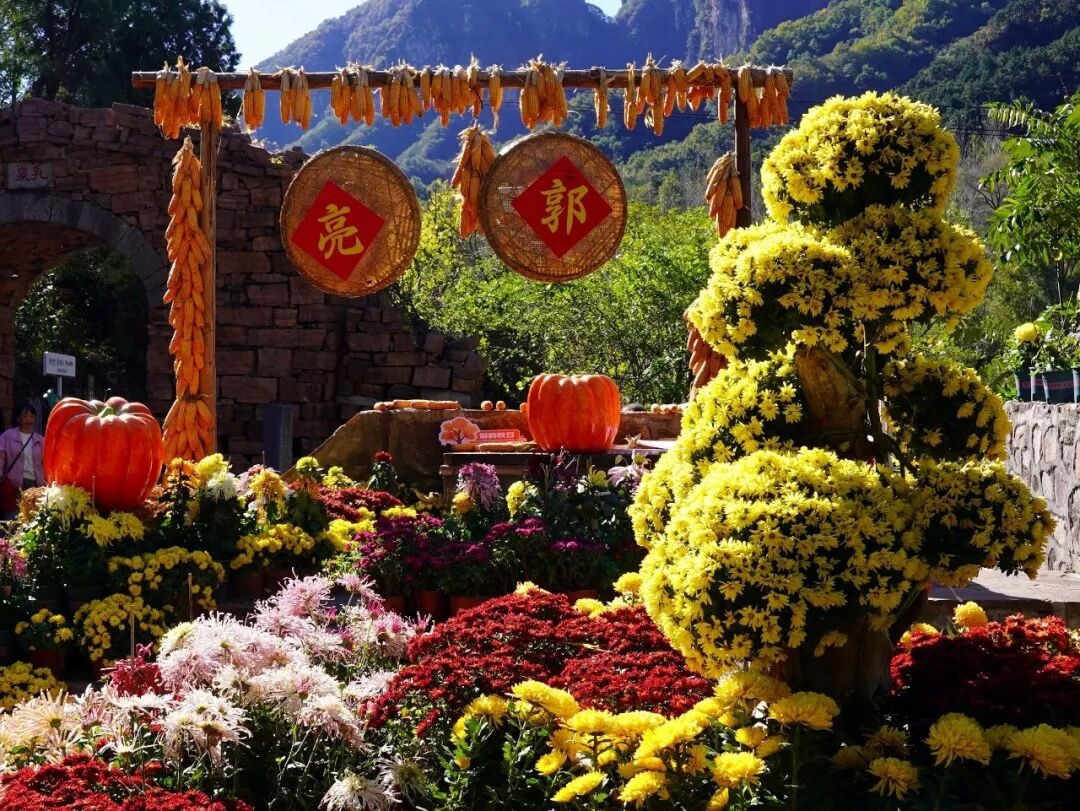 太行拾秋计划|多重优惠解锁太行秋光 太行拾秋计划|多重优惠解锁太行秋光