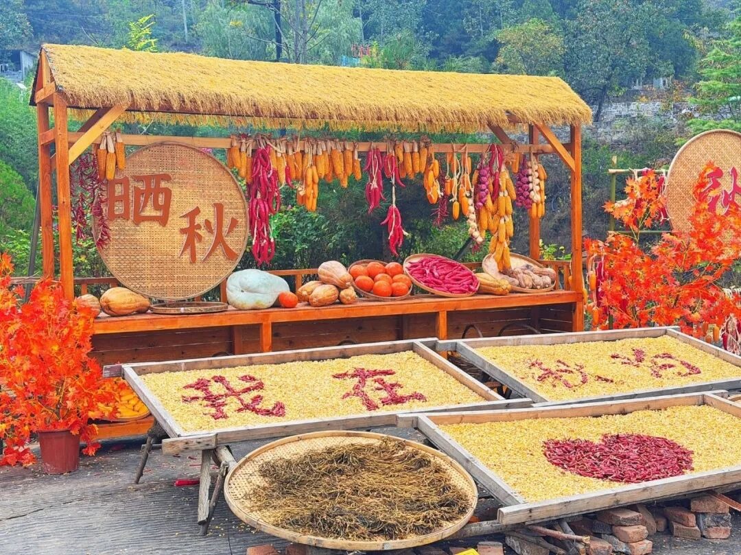 太行拾秋计划|多重优惠解锁太行秋光 太行拾秋计划|多重优惠解锁太行秋光