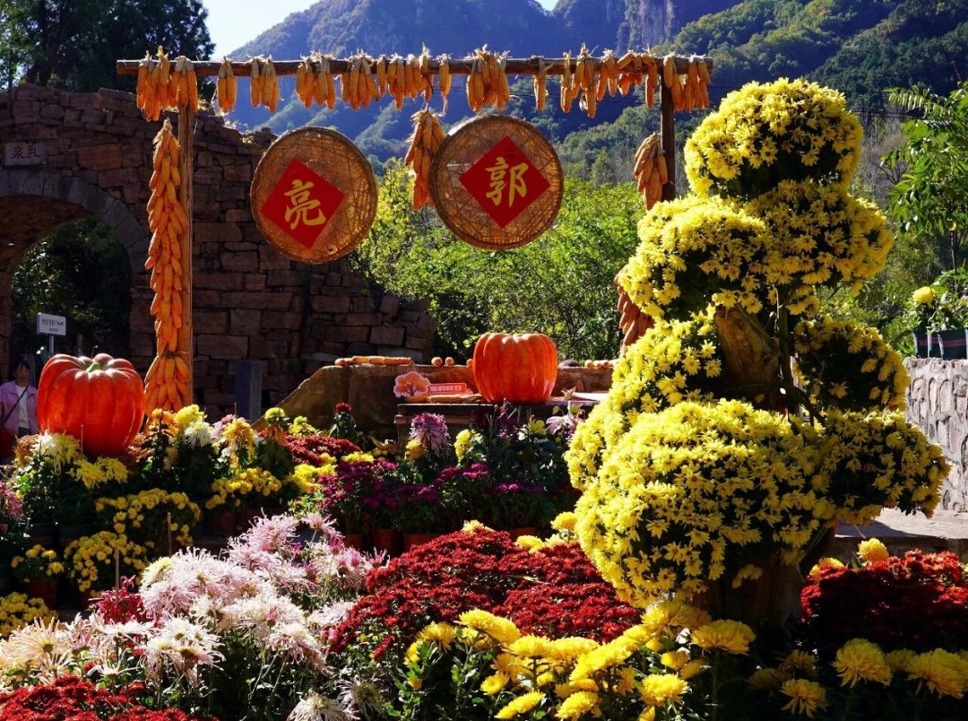 赴南太行秋日之约!四大赏秋地已备好,限时优惠别错过 赴南太行秋日之约!四大赏秋地已备好,限时优惠别错过