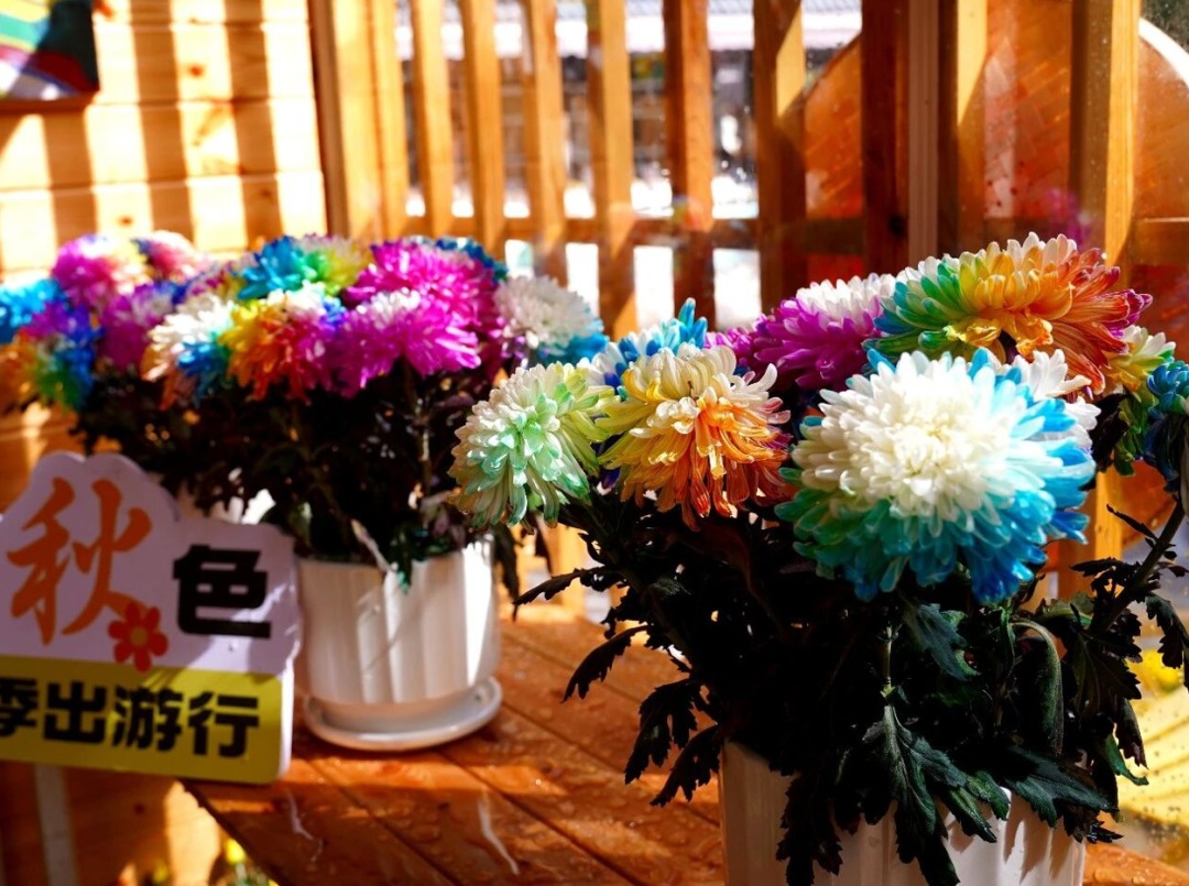 赴南太行秋日之约!四大赏秋地已备好,限时优惠别错过 赴南太行秋日之约!四大赏秋地已备好,限时优惠别错过