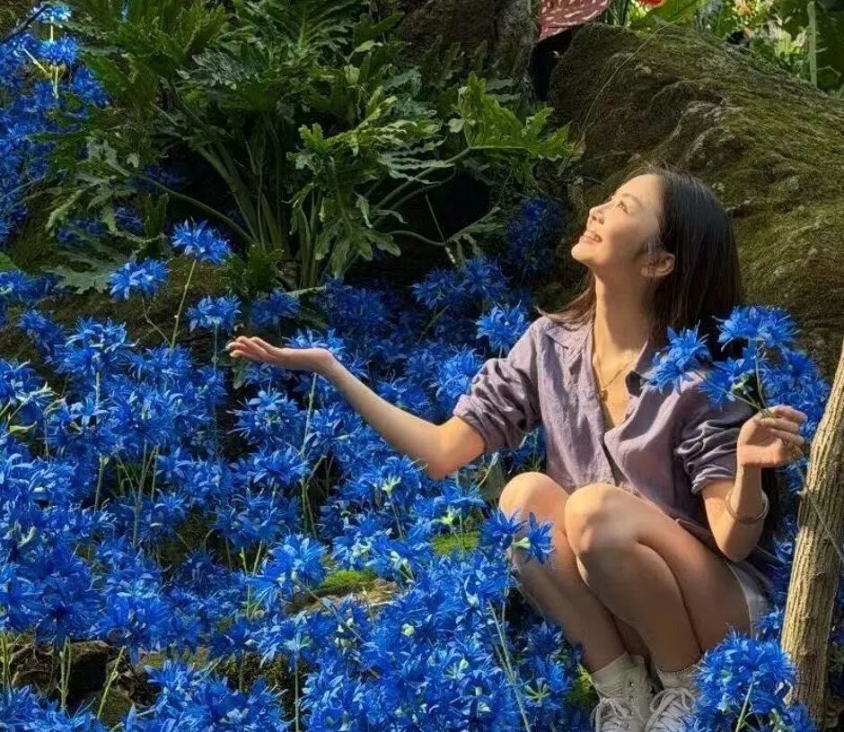 赴南太行秋日之约!四大赏秋地已备好,限时优惠别错过 赴南太行秋日之约!四大赏秋地已备好,限时优惠别错过