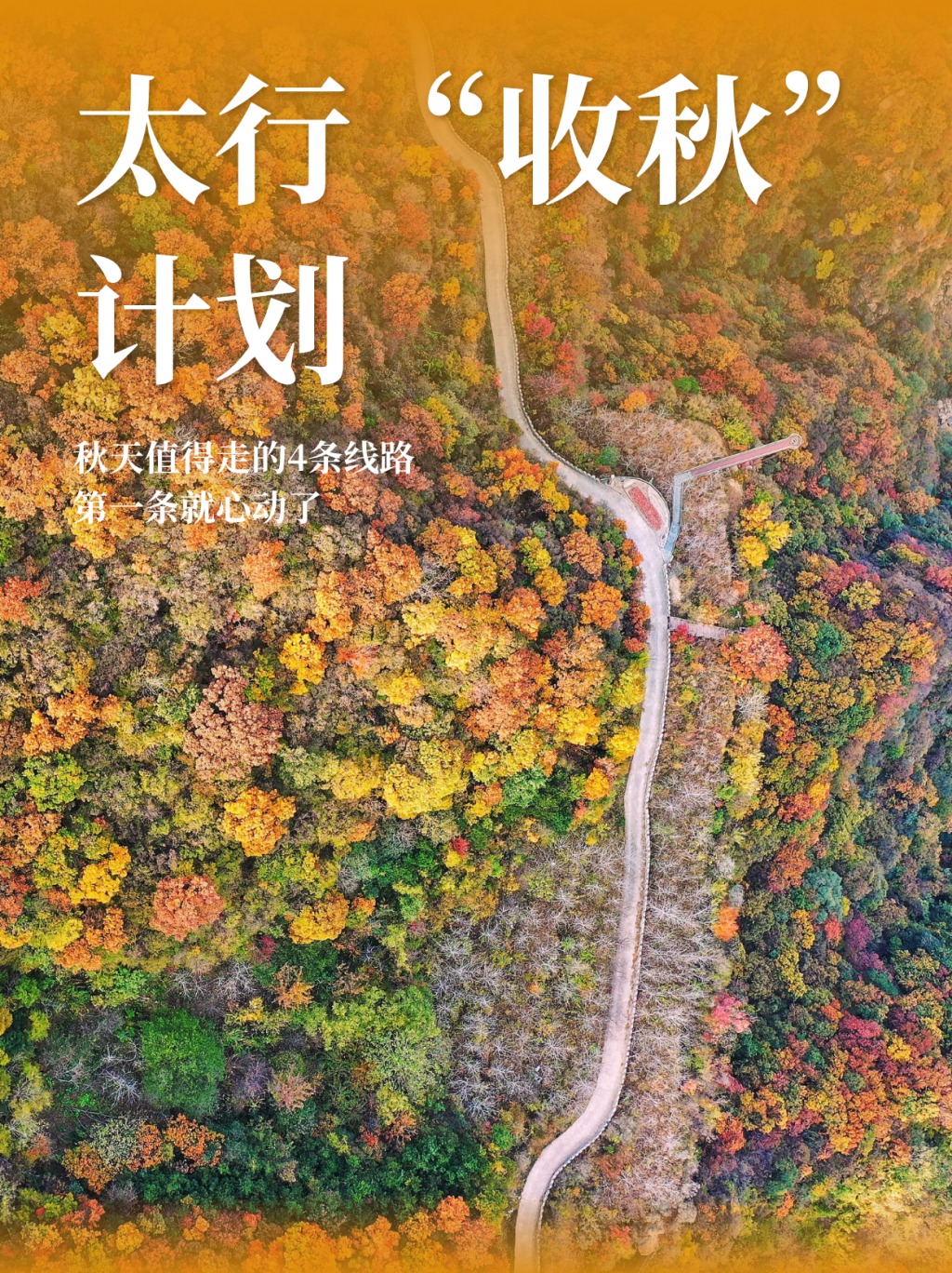 新乡南太行|秋天值得走的4条线路,第一条就心动了 新乡南太行|秋天值得走的4条线路,第一条就心动了