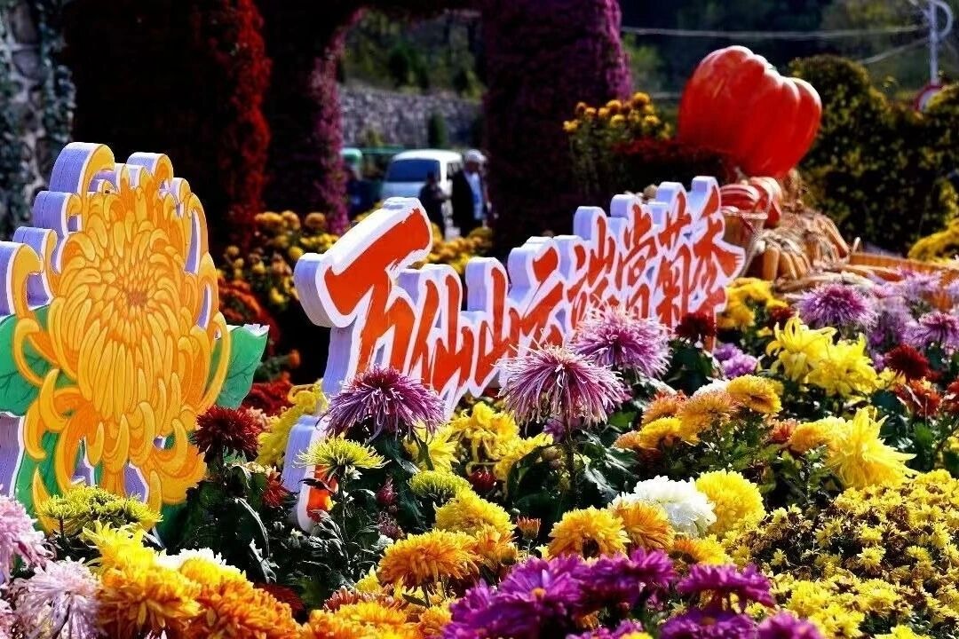 云漫太行,秋意拉满!新乡南太行赏秋路线已备好,一键收藏出发 云漫太行,秋意拉满!新乡南太行赏秋路线已备好,一键收藏出发